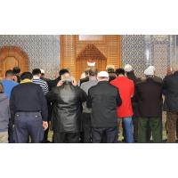 2313 Gebet Mittagsgebet im Gebetsraum der Harburger Moschee. | Eyüp Sultan Camii -  Moschee; Hamburg Harburg Knoopstrasse.